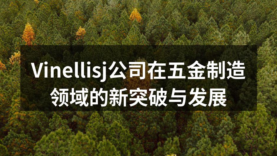 Vinellisj公司在五金制造领域的新突破与发展