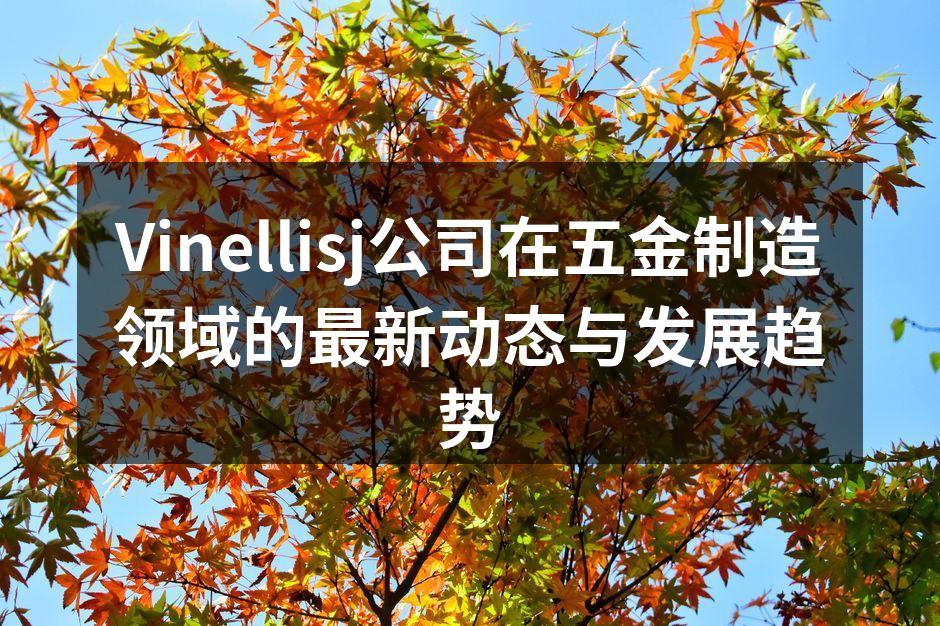 Vinellisj公司在五金制造领域的最新动态与发展趋势